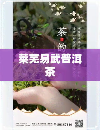 莱芜易武普洱茶