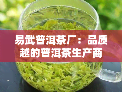 易武普洱茶厂：品质越的普洱茶生产商，让您体验云南大山的独特魅力