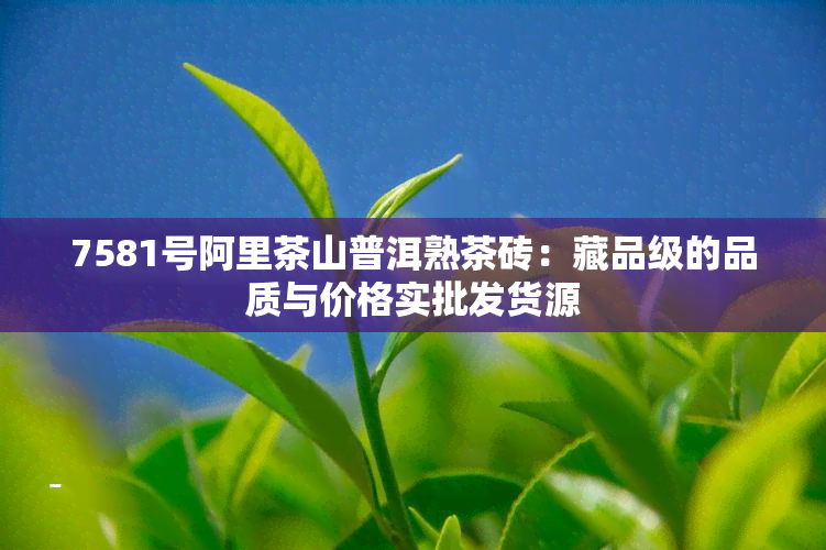 7581号阿里茶山普洱熟茶砖：藏品级的品质与价格实批发货源