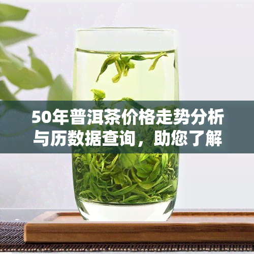 50年普洱茶价格走势分析与历数据查询，助您了解茶叶投资价值与市场行情