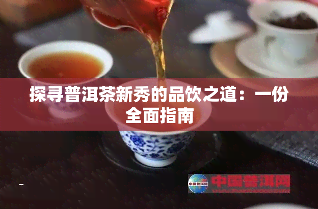 探寻普洱茶新秀的品饮之道：一份全面指南