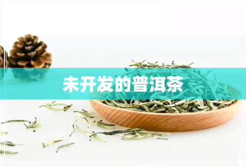 未开发的普洱茶