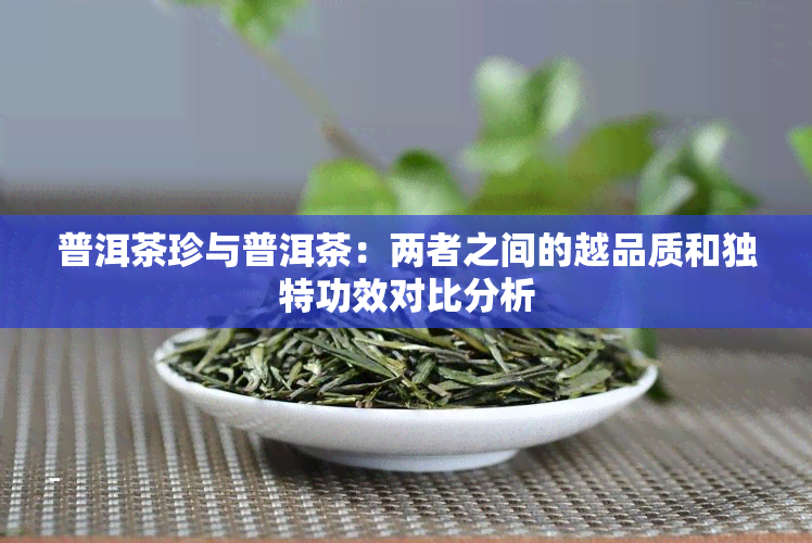 普洱茶珍与普洱茶：两者之间的越品质和独特功效对比分析