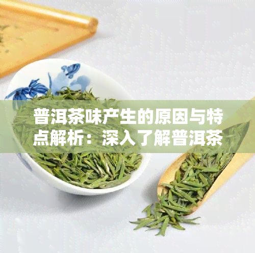 普洱茶味产生的原因与特点解析：深入了解普洱茶的口感魅力