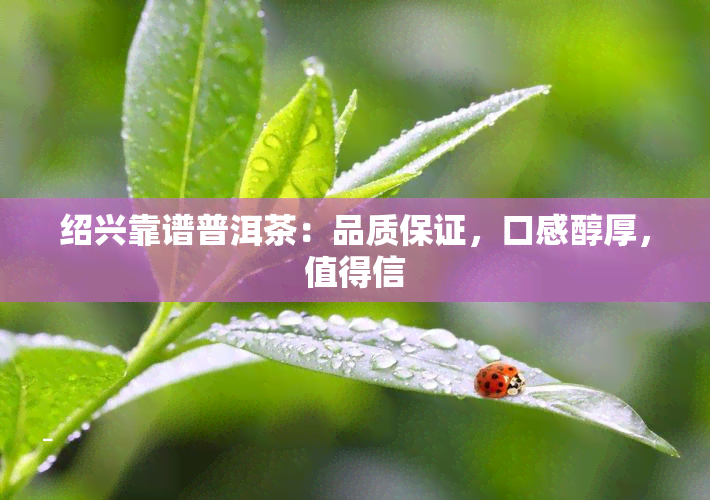 绍兴靠谱普洱茶：品质保证，口感醇厚，值得信