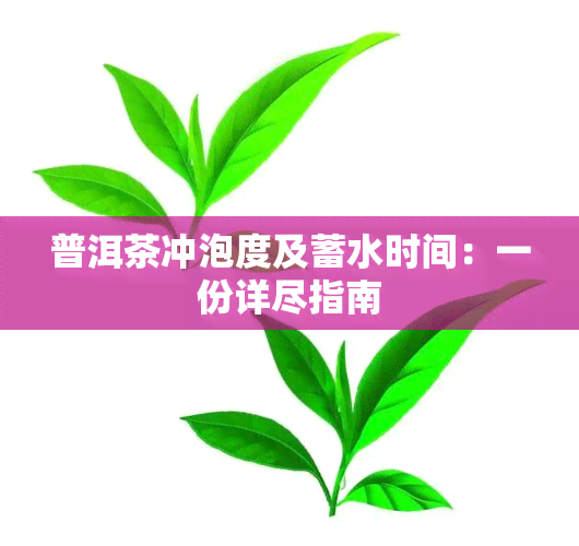 普洱茶冲泡度及蓄水时间：一份详尽指南