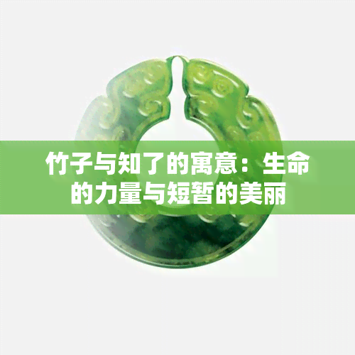 竹子与知了的寓意：生命的力量与短暂的美丽