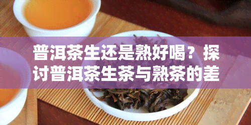 普洱茶生还是熟好喝？探讨普洱茶生茶与熟茶的差别与选择