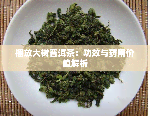 播放大树普洱茶：功效与用价值解析