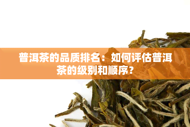 普洱茶的品质排名：如何评估普洱茶的级别和顺序？