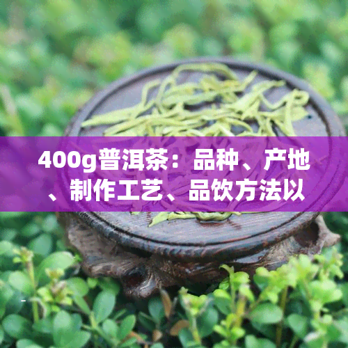 400g普洱茶：品种、产地、制作工艺、品饮方法以及购买指南一应俱全