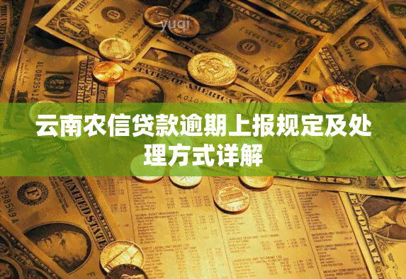 云南农信贷款逾期上报规定及处理方式详解