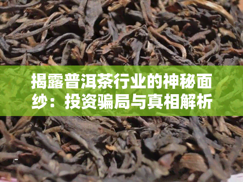 揭露普洱茶行业的神秘面纱：投资骗局与真相解析