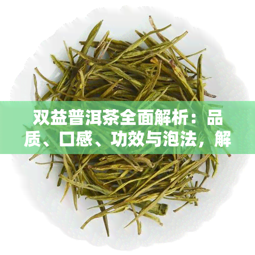 双益普洱茶全面解析：品质、口感、功效与泡法，解答你的所有疑问