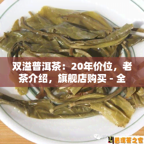 双溢普洱茶：20年价位，老茶介绍，旗舰店购买 - 全面了解与购买指南