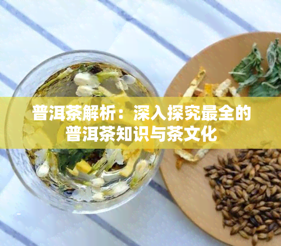 普洱茶解析：深入探究最全的普洱茶知识与茶文化