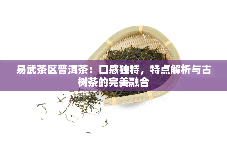 易武茶区普洱茶：口感独特，特点解析与古树茶的完美融合