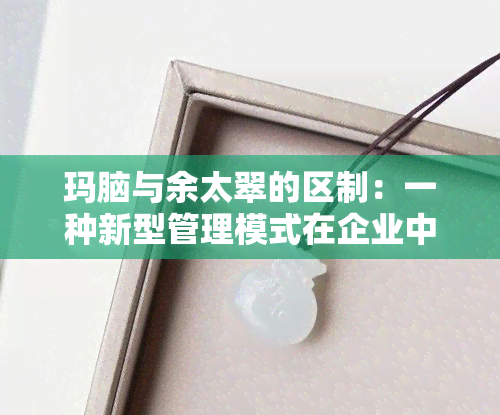 玛脑与余太翠的区制：一种新型管理模式在企业中的应用与探讨