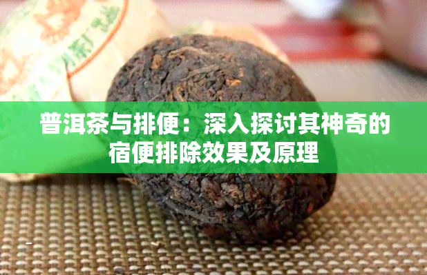 普洱茶与排便：深入探讨其神奇的宿便排除效果及原理