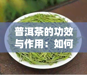 普洱茶的功效与作用：如何通过喝普洱茶来促进肠道排便？