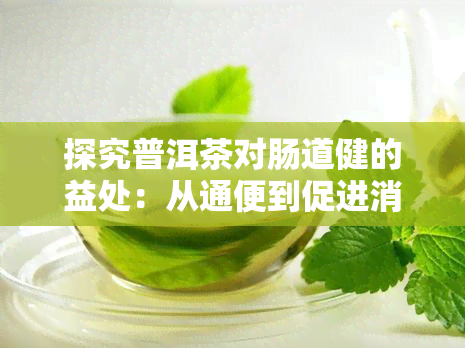 探究普洱茶对肠道健的益处：从通便到促进消化