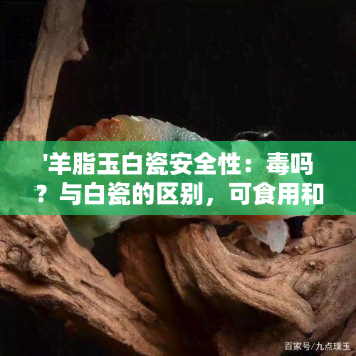 '羊脂玉白瓷安全性：吗？与白瓷的区别，可食用和使用吗？'