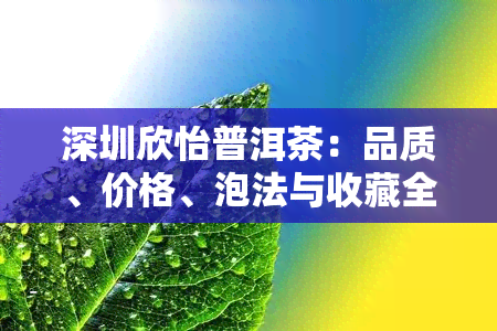 深圳欣怡普洱茶：品质、价格、泡法与收藏全方位解析