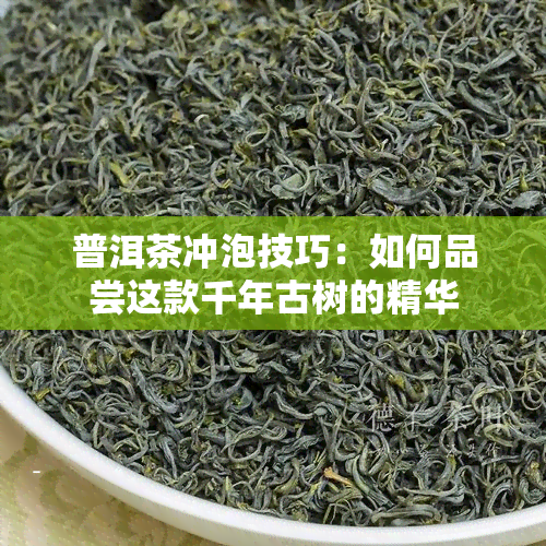 普洱茶冲泡技巧：如何品尝这款千年古树的精华