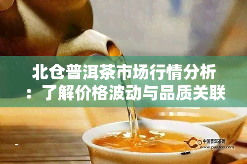 北仓普洱茶市场行情分析：了解价格波动与品质关联