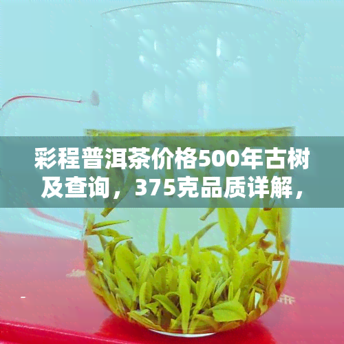 彩程普洱茶价格500年古树及查询，375克品质详解，全面评价怎么样