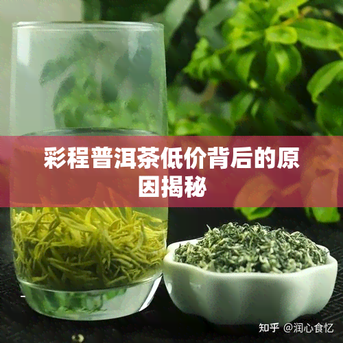 彩程普洱茶低价背后的原因揭秘