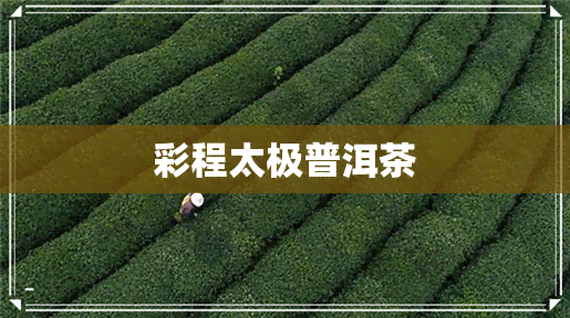 彩程太极普洱茶