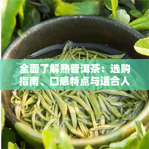 全面了解熟普洱茶：选购指南、口感特点与适合人群分析