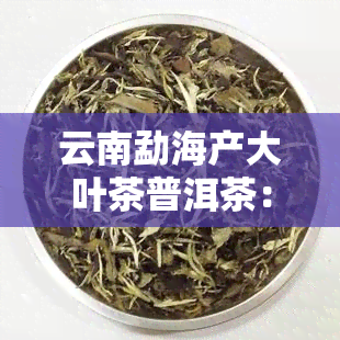 云南勐海产大叶茶普洱茶：品质与价格解析