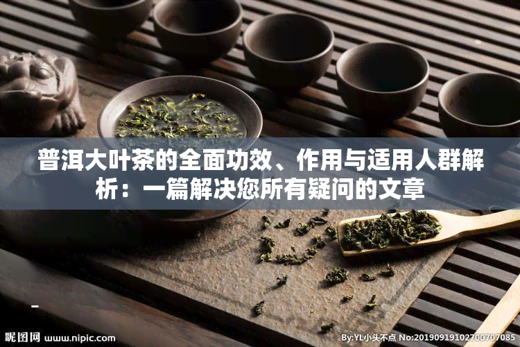 普洱大叶茶的全面功效、作用与适用人群解析：一篇解决您所有疑问的文章