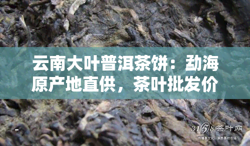 云南大叶普洱茶饼：勐海原产地直供，茶叶批发价