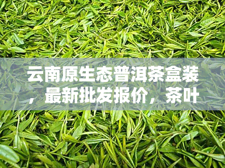 云南原生态普洱茶盒装，最新批发报价，茶叶货源大全，购买