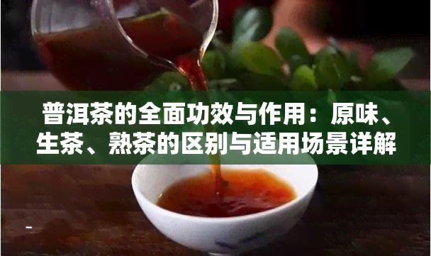 普洱茶的全面功效与作用：原味、生茶、熟茶的区别与适用场景详解