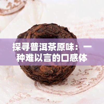 探寻普洱茶原味：一种难以言的口感体验