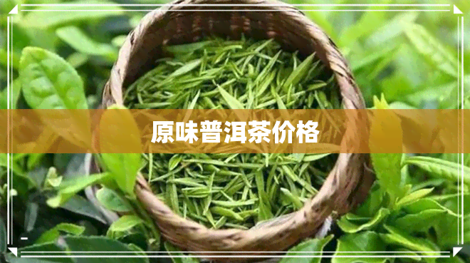 原味普洱茶价格