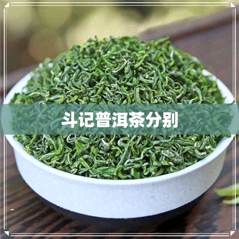 斗记普洱茶分别