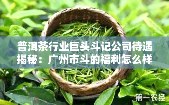 普洱茶行业巨头斗记公司待遇揭秘：广州市斗的福利怎么样？