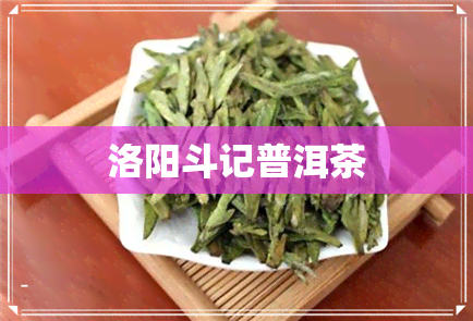 洛阳斗记普洱茶