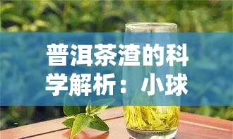 普洱茶渣的科学解析：小球状物质究竟是什么？