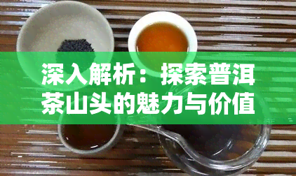 深入解析：探索普洱茶山头的魅力与价值