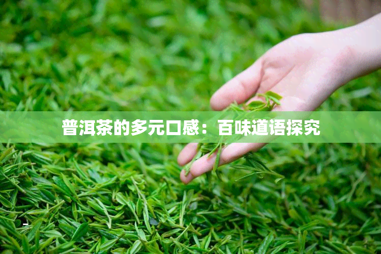 普洱茶的多元口感：百味道语探究