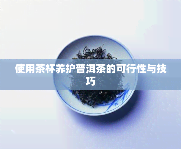 使用茶杯养护普洱茶的可行性与技巧