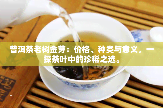 普洱茶老树金芽：价格、种类与意义，一探茶叶中的珍稀之选。