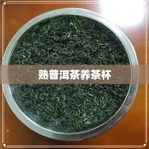 熟普洱茶养茶杯