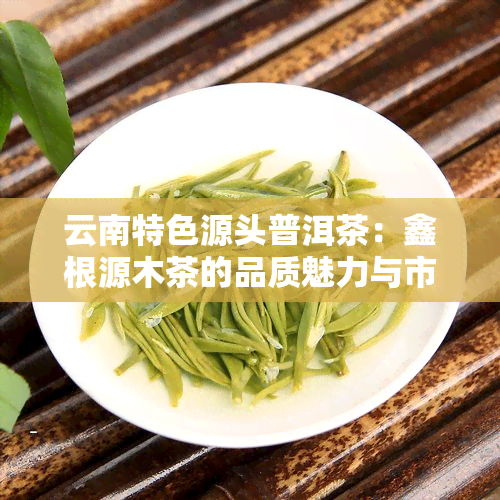 云南特色源头普洱茶：鑫根源木茶的品质魅力与市场行情分析